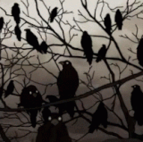 kizumonogatari anime.gif