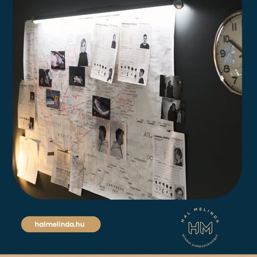 639650902 1386558160154209 1716645856655843648 n.jpg?stp=dst jpg p526x296 tt6& nc cat=110&ccb=1 7& n.jpg