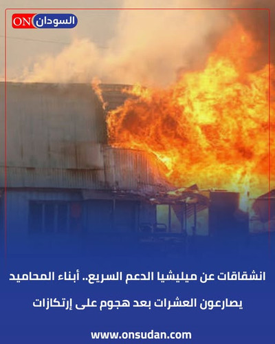 641384601 896694266451859 8960785959444381064 n.jpg?stp=dst jpg s640x640 tt6& nc cat=107&ccb=1 7& nc.jpg