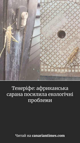 66ef624ed44b.png