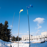 P1190131 lmq