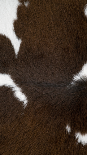 Дизайн без названия 9.png