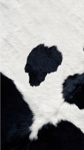 Untitled design 3.png