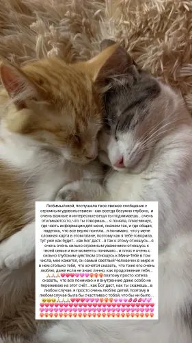 IMG 20260224 125607 256.webp