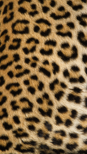 Дизайн без названия 7.png