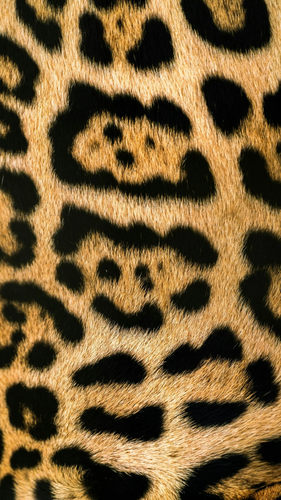 Untitled design 14.png