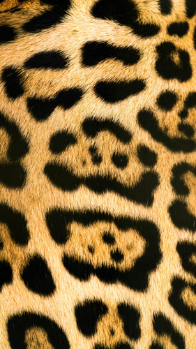 Untitled design 22.png