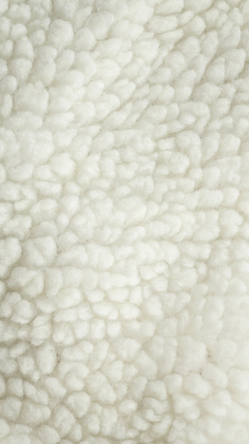 Untitled design 20.png