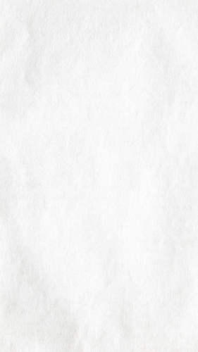 Untitled design 31.png