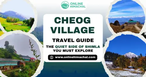 Cheog Village Travel Guide The Quiet Side of Shimla You Must Explore.webp