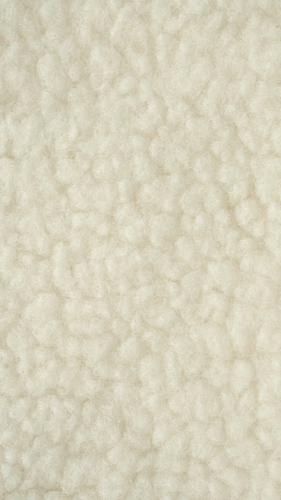 Untitled design 21.png