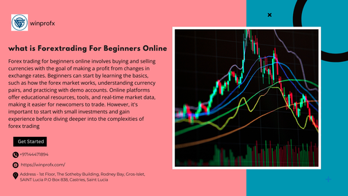 what is Forextrading For Beginners Online.png