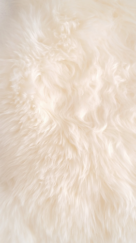 Untitled design 24.png