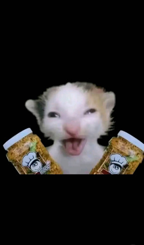 IMG 20260224 163528.jpg