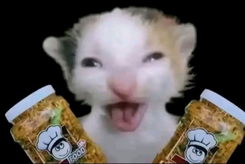 IMG 20260224 163752.jpg