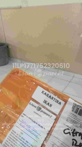 9de2f0047160c27340863962b6a781c7 1771925522.jpg