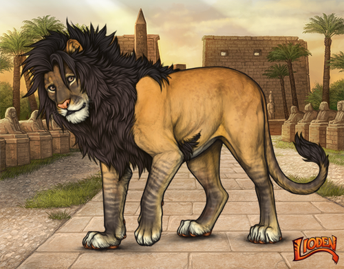 lioden wardrobe 2026 02 24T095415.067.png