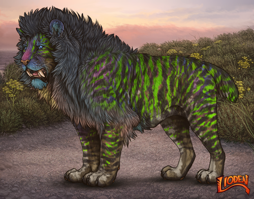 lioden wardrobe 2026 02 24T092619.081.png