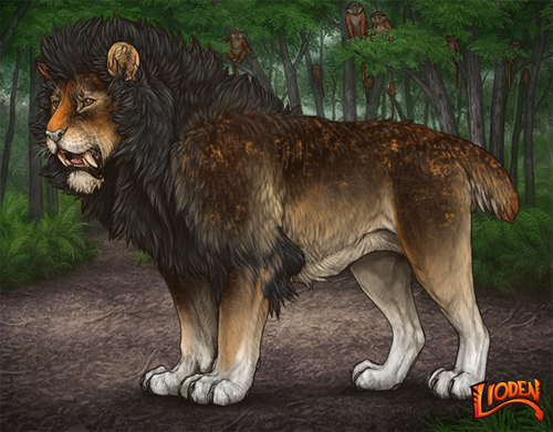 lioden wardrobe 2026 02 24T092344.077.png