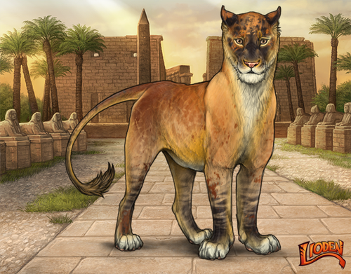 lioden wardrobe 2026 02 24T095502.061.png