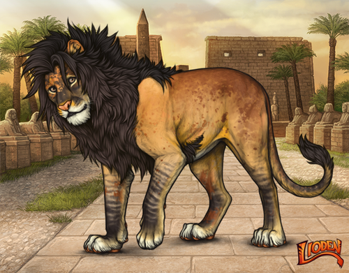 lioden wardrobe 2026 02 24T095436.064.png