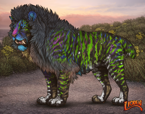 lioden wardrobe 2026 02 24T092644.138.png