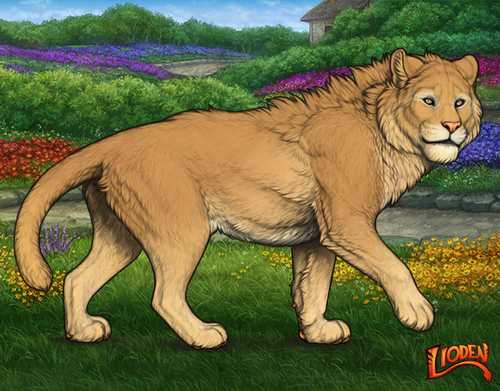 lioden wardrobe 2026 02 24T093808.069.png