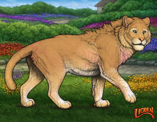 lioden wardrobe 2026 02 24T093828.073.png