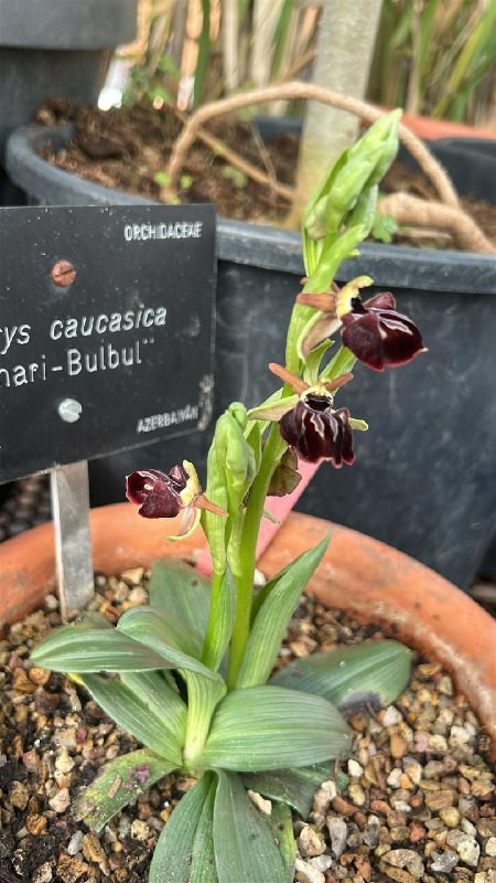 YtT FyOlWrXtND NylbJshEA5 ZXKNPSJMDhifGWLE7cAo mVqmX UN7yovpwzzTF0fNPWkJApVk9TifKUJntUQRxp5 aiLfRIp3.jpg