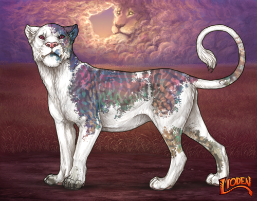 lioden wardrobe 2026 02 24T093143.087.png