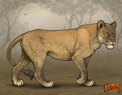 lioden wardrobe 2026 02 24T095129.071.png