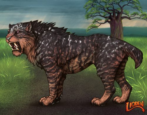 lioden wardrobe 2026 02 24T094116.989.png