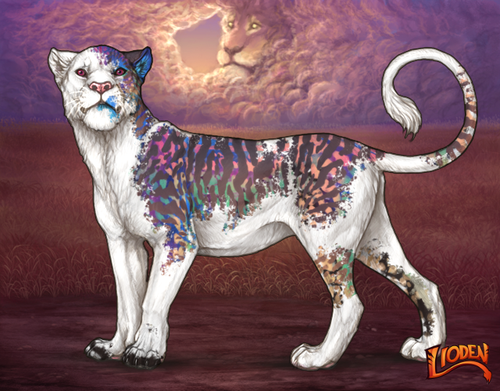 lioden wardrobe 2026 02 24T093202.084.png