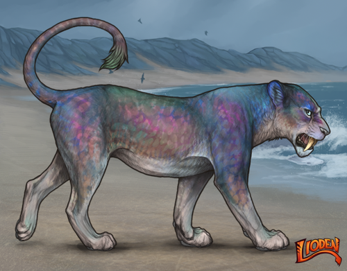 lioden wardrobe 2026 02 24T092052.040.png