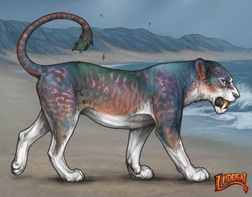 lioden wardrobe 2026 02 24T092109.070.png