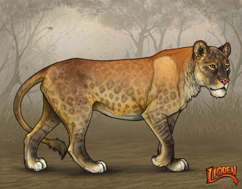 lioden wardrobe 2026 02 24T095146.062.png