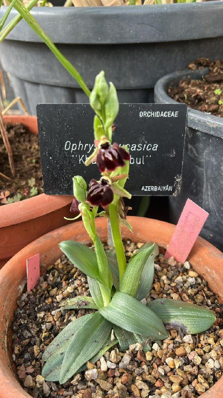 ZQ34SP uuEMPoF0wrVv1dEB3k12vDZ9Pa6PxpVX0iLMn6zFLZZjIR CxXhFieSOp2hBhFf 5U sZ3KcGC3fSsHe2TN8Z388cu1z2.jpg