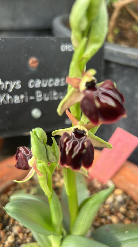 jKKhORLTmH80YfIKBPujNSp1a jjI0Hdz0PE NORM1Gxv950uIkoQKhh7T0vHpzmHoX8r7XxAYH Jm Sk9VHZ4YlwdWfADxrUxOs.jpg