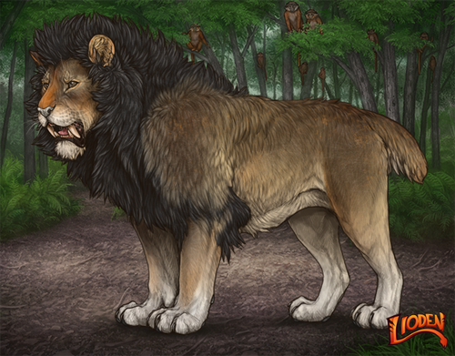 lioden wardrobe 2026 02 24T092314.094.png