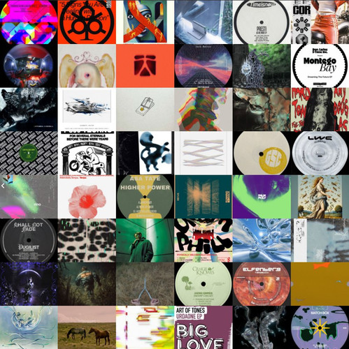 photo 5253597863713902793 y.jpg