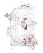 image removebg preview 1.png