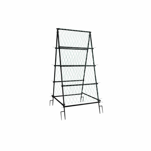 Gemini Generated Image 5ax65b5ax65b5ax6 1600x1600.jpg