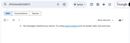 WhatsApp Image 2026 02 24 at 09.46.56.jpg