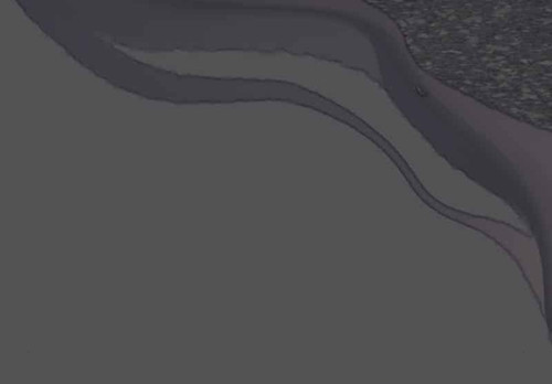 IMG 20260224 213909 797.jpg