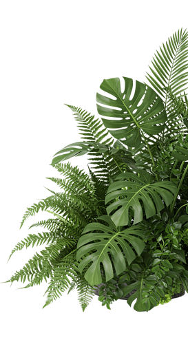 1c468cf3256e.png