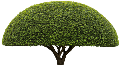 3626c952274d.png