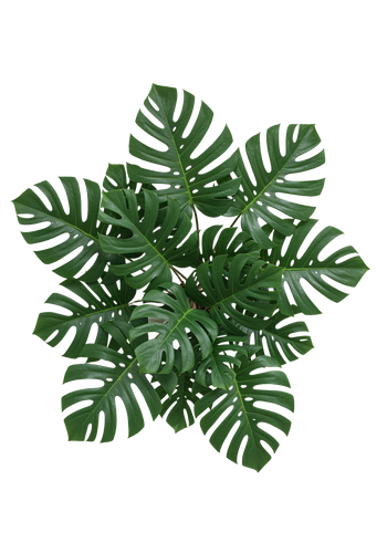 eb44a4931371.png