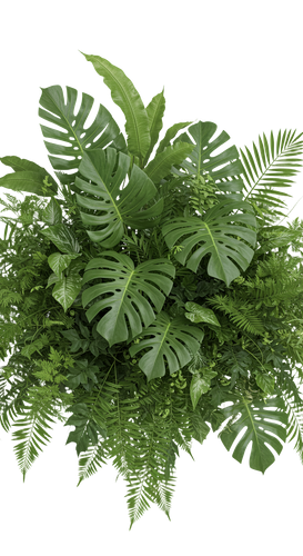 a7c875d1f869.png
