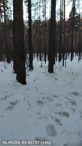 56.49284, 84.86787 (±4м) 24022026 090644.jpg