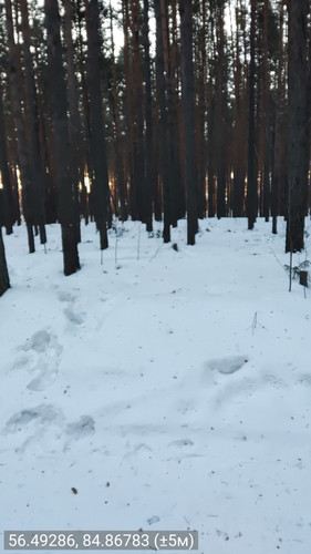 56.49286, 84.86783 (±5м) 24022026 090710.jpg
